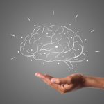 brain, hand, grey, gray brain, brain, brain, brain, brain, brain